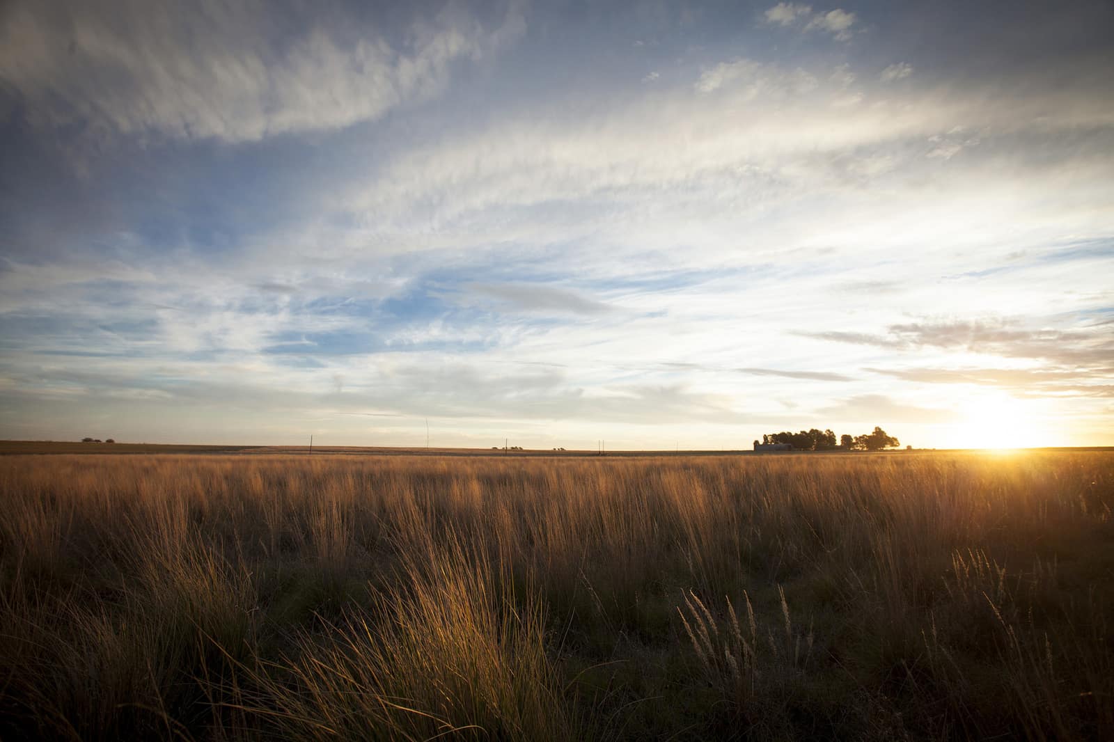 Farmland at sunset